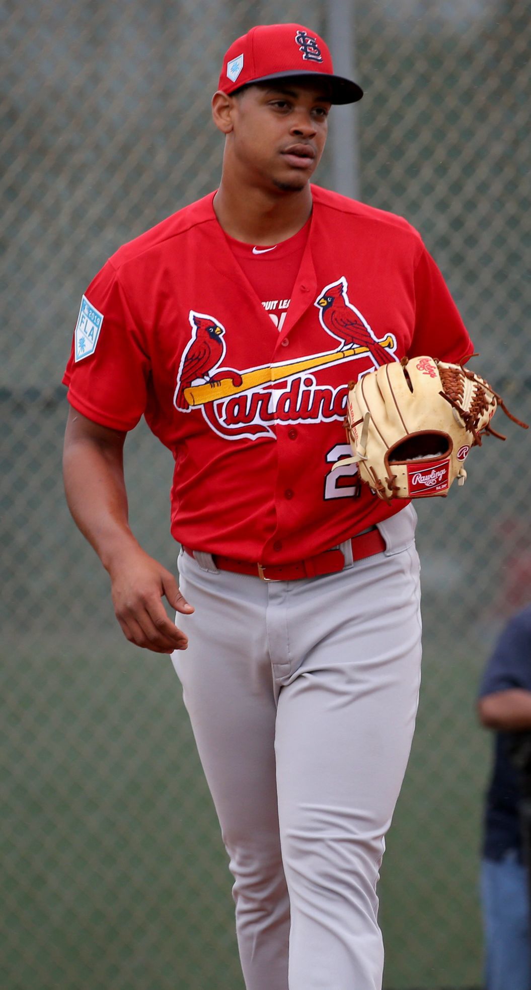 Cardinals spring training